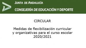 Lee más sobre el artículo Medidas de flexibilización curricular y organizativas para el curso escolar 2020/2021